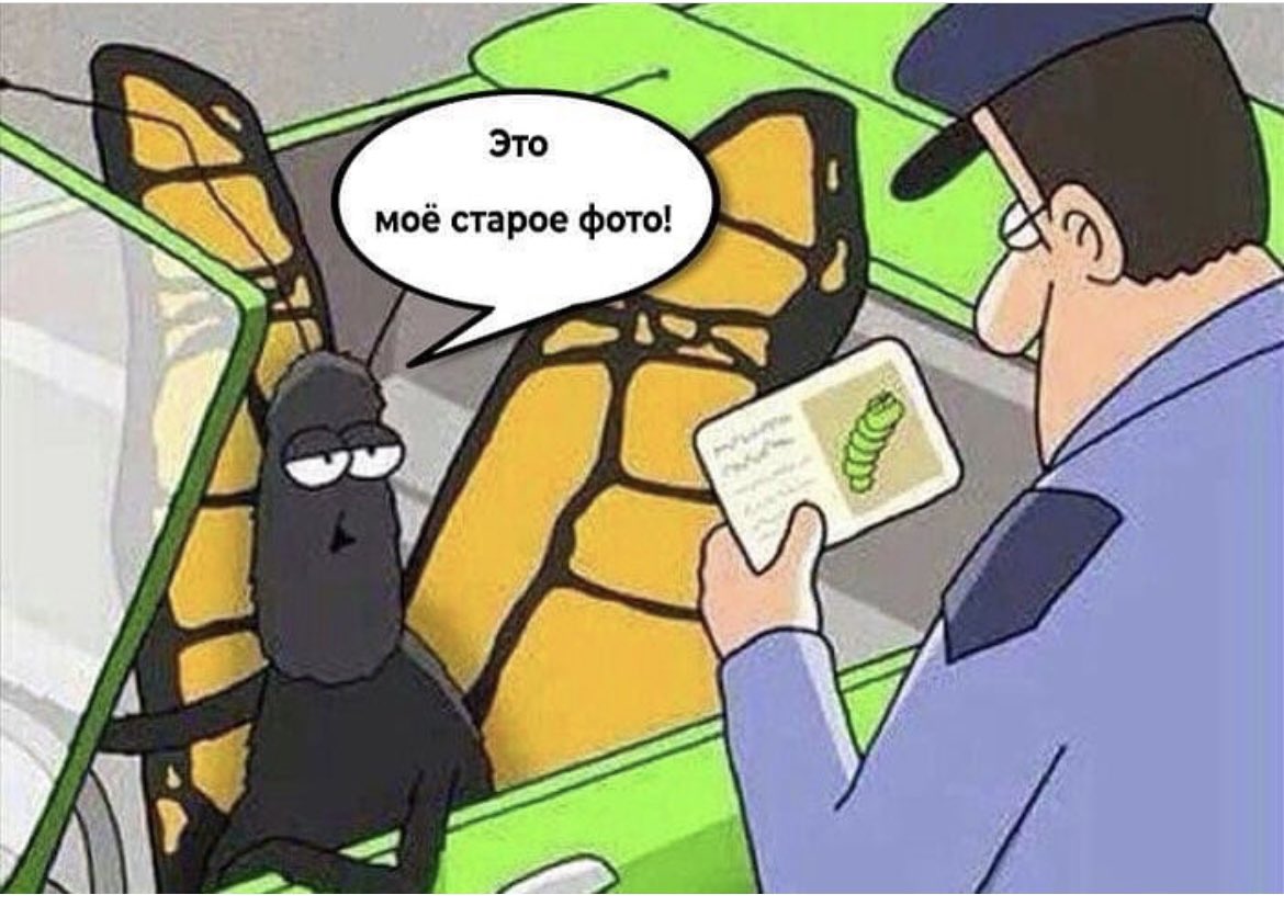 Agro.Club RUSSIA tweet media