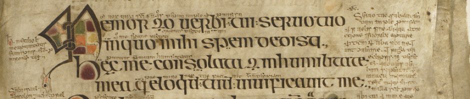 The Irish Conference of Medievalists <a href="/IrConfMed/">Irish Conference of Medievalists</a> have opened their #CfP until 13th April. Cuirfear fáilte roimh pháipéir as Gaeilge! The hybrid conference will be held by Queen's University Belfast from 30th June to 2nd July 2022.  
More info: 
irishmedievalists.com/archives/uncat… #Gaeilge