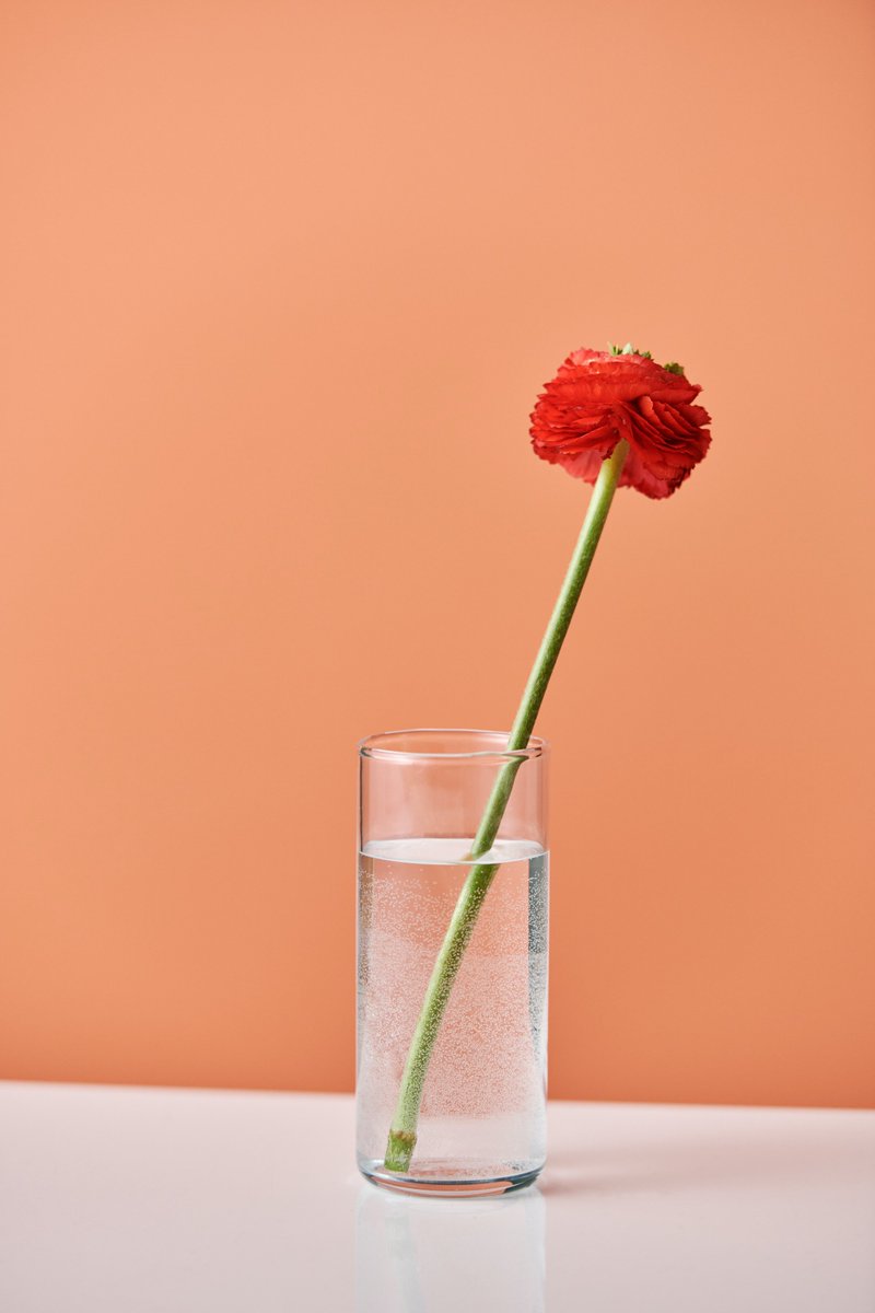 Flowers ask for so little 

Sunlight, water and love.

There’s a lot you can learn from blooms

(Although replicating their diet is inadvisable)

We're the glass half full of flowers type.

#January #Flowers #Gifts #SelfCare #Florist #Bouquet #Delivery #CanaryWharf #London