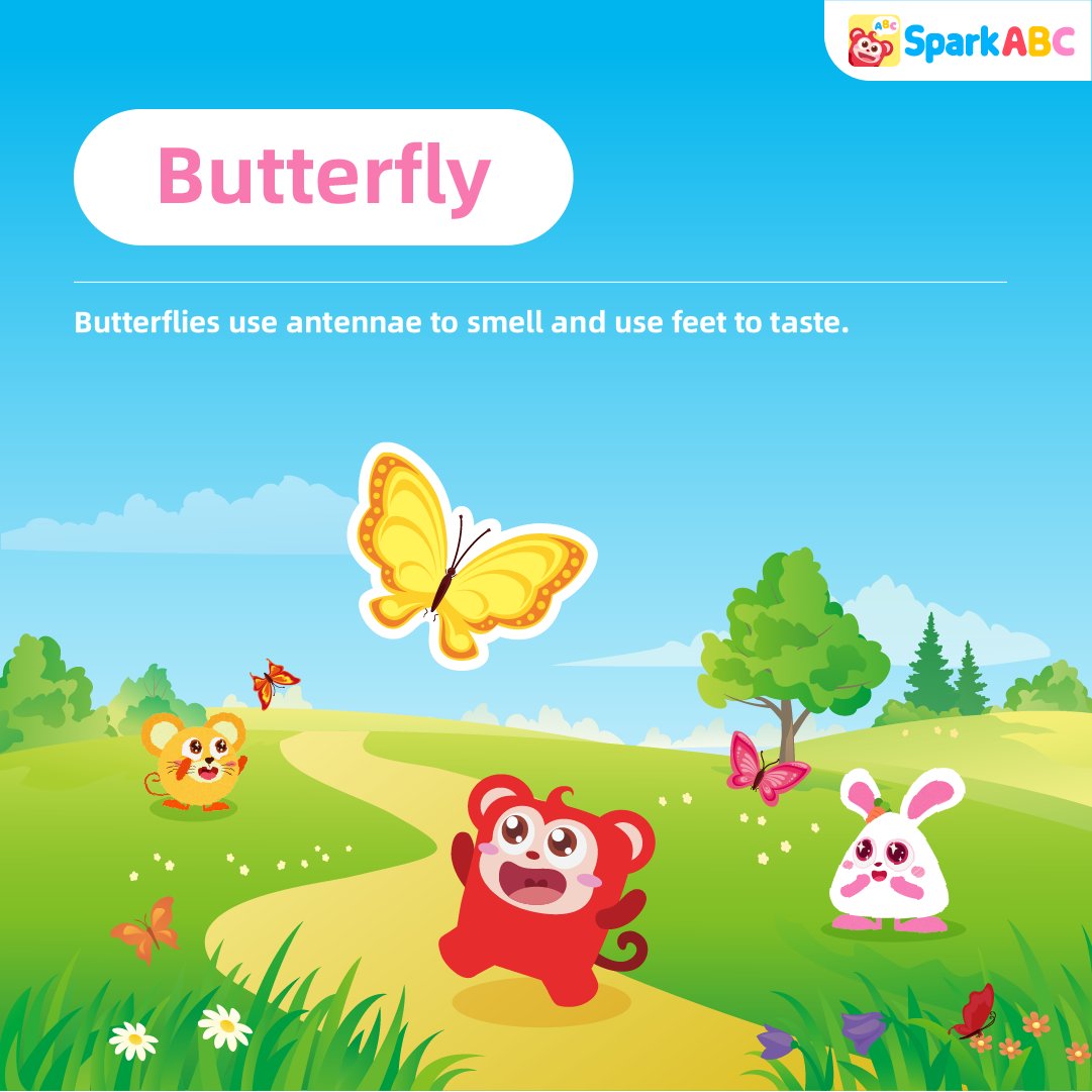 SparkABC_EdTech's tweet photo. Look! They are chasing butterflies! Do you know how butterflies smell and taste? Do you know any other interesting things about butterflies ? 🦋
#Dailyshare,#learnEnglish,#SparkABC https://t.co/Lzey5XpOrz