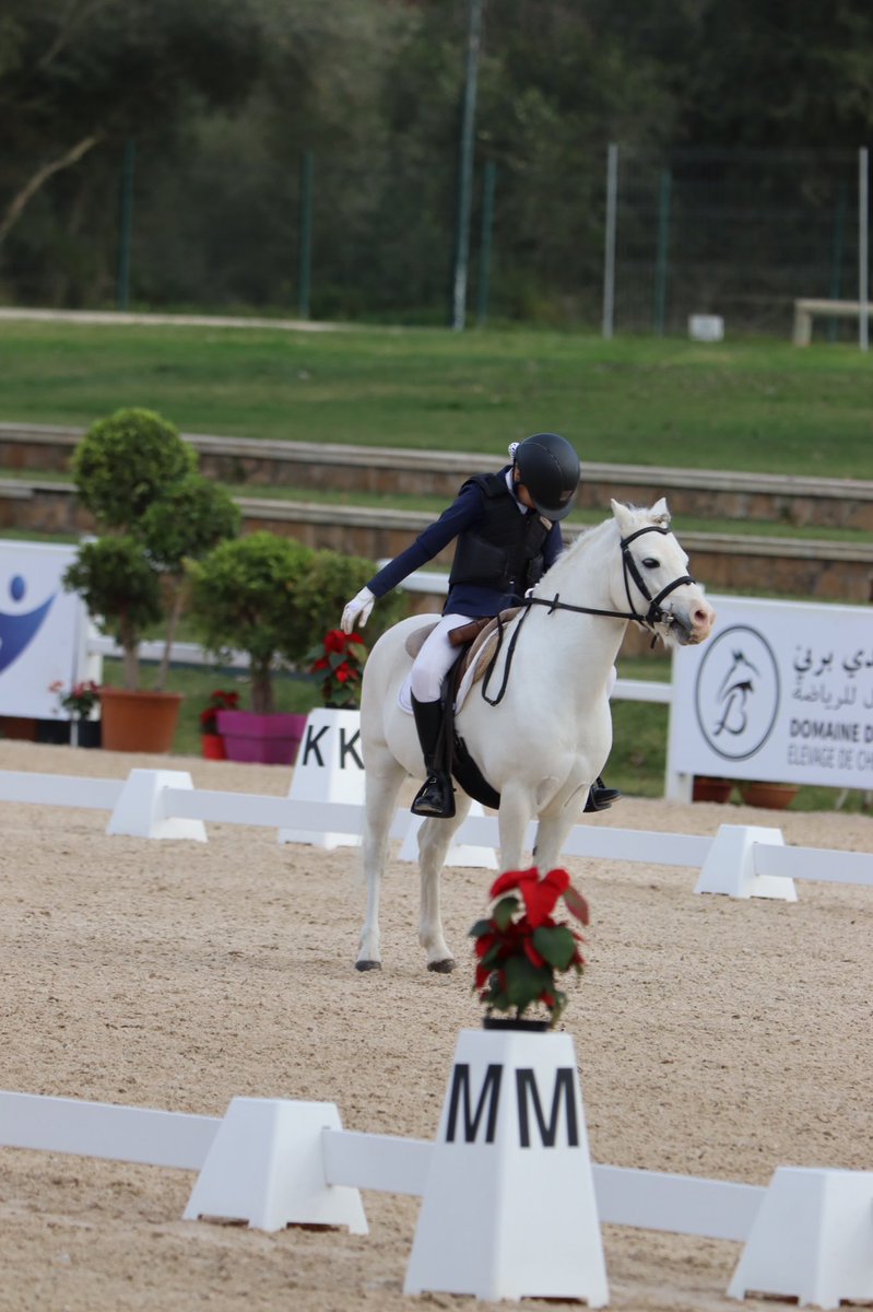 frmse_ma's tweet photo. Championnat du Maroc 🇲🇦 2021
Poney A - Dressage
🥇 Sofia Outaleb & Talgarth Timothy
🥈Mohamed Kassou & Simba
🥉Neyl Selosse & Windwillow
#frmse #cdm21 #championship #morocco https://t.co/dLYcF7vo26