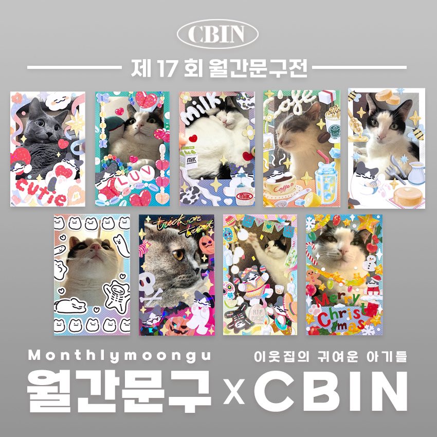 CBIN 시빈 tweet media