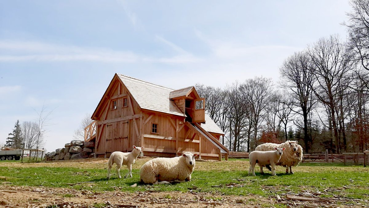 _FranceDouglas's tweet photo. Bergerie - Région de Ciney, #Belgique
Structure poteaux-poutres à tenon-mortaise et poteaux extérieurs en #Douglas reposant sur des pierres bleues (sans traitement avec tolérance de 5%). Bardage #Douglas rainuré et langueté.🌲✨
・MOA privée
・MOE &amp; photos : Back To Wood https://t.co/K0ihcHt270
