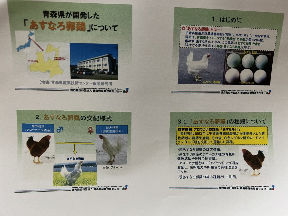 烏骨鶏 ゆめちゃん食品 - 通販 - guianegro.com.br