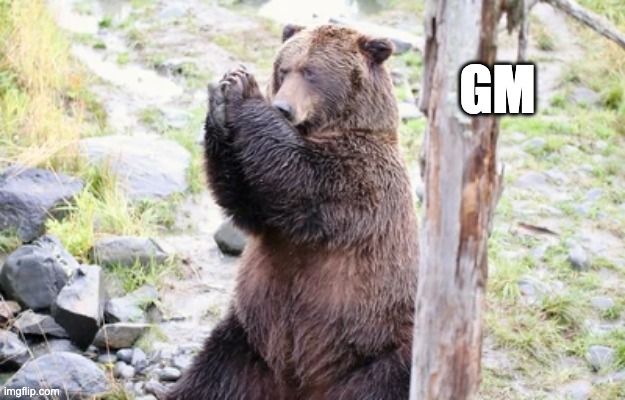 FookBears tweet media