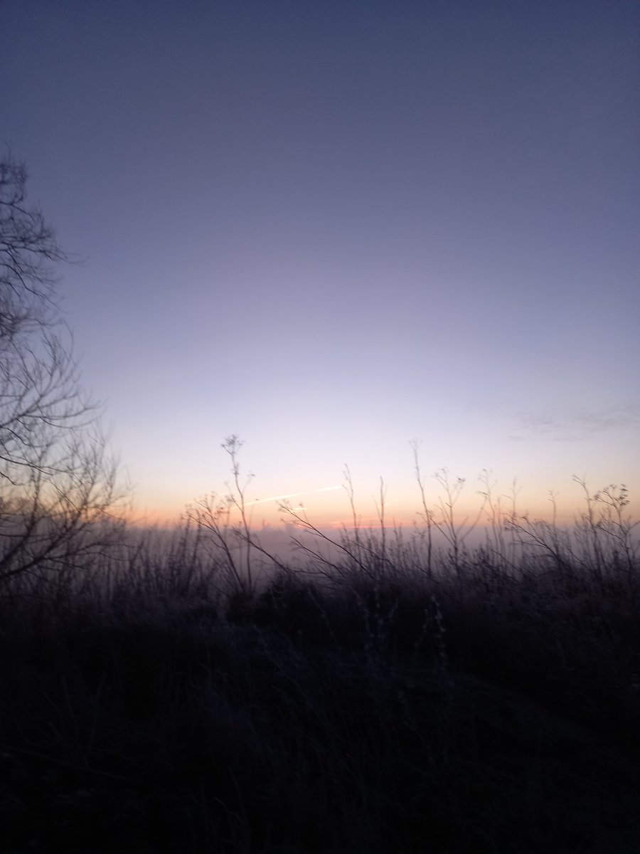 Misty but beautiful  this morning sutton in the Isle. <a href="/ChrisPage90/">Chris Page - Weatherman</a> <a href="/SpottedInEly/">Spotted In Ely</a> @fenscene #fenlandsunrise #fenlandskies #misty #sunrise #suttoncambs #sutton #cambridgeshire