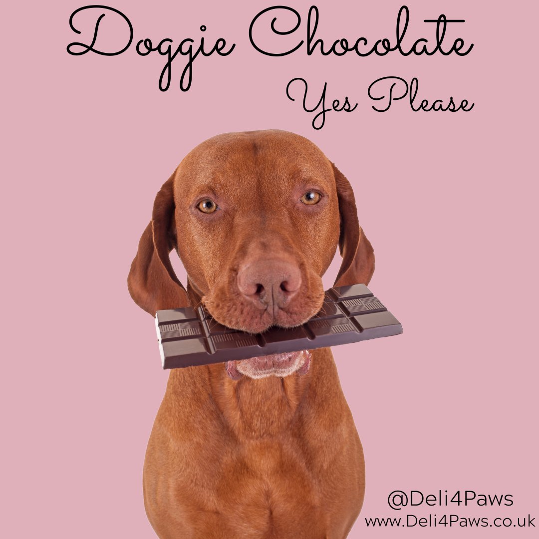 Dogs love sweet treats and doggie chocolate, great for the occasional treat or for special occasions and its available from Deli4Paws 😊

Visit Deli4Paws.co.uk to view our full range of cat and dog treats. 

Happiness in a box!

#Deli4Paws #Smallbizuk