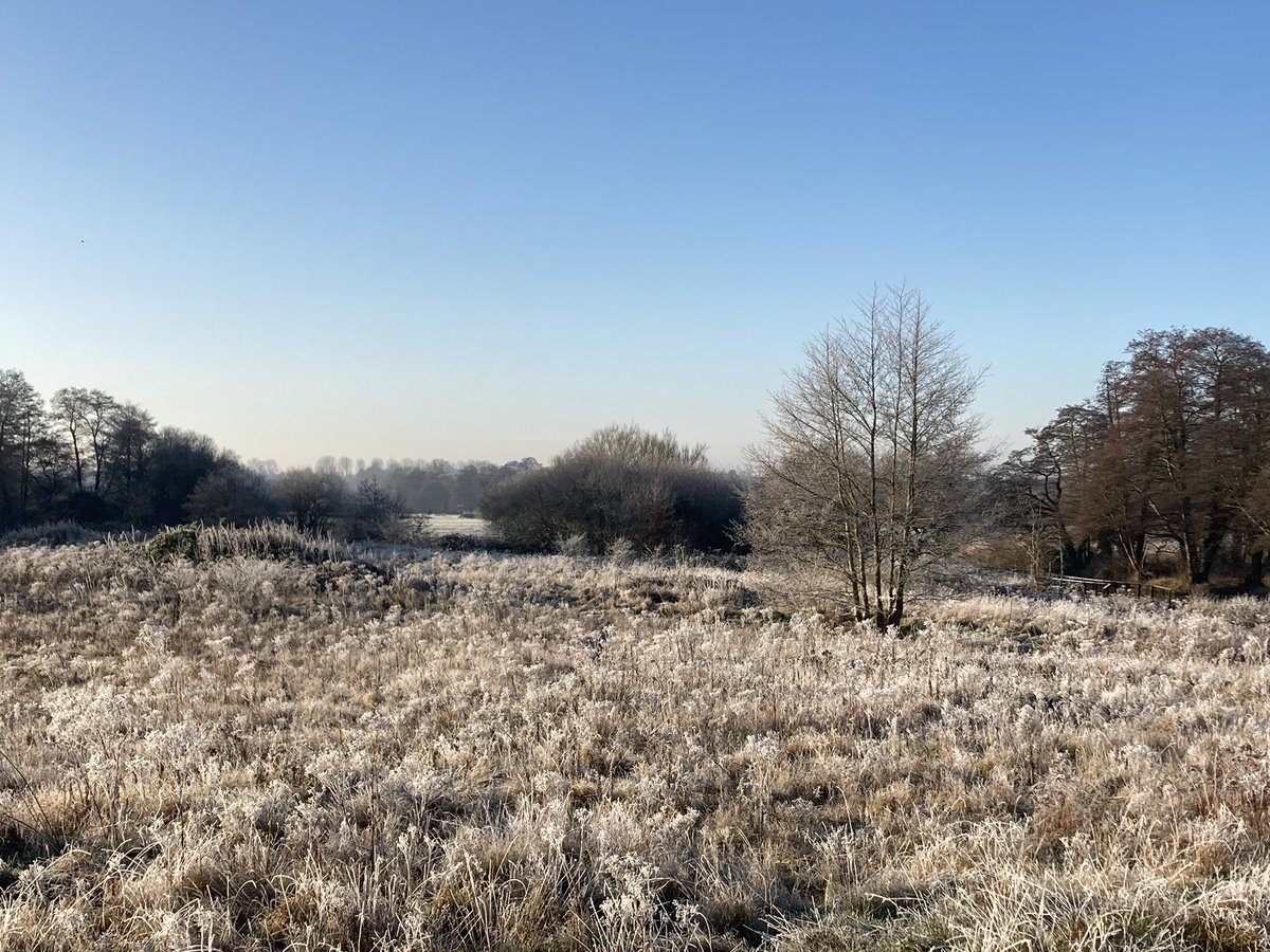 landscape717's tweet image. Big Apple has @highlinenyc + in Surrey we have the #lowline ie the #RiverWey green corridor - even more #special + #important during 2 years of Covid impact as wear + tear to the #towpath proves&amp;gt; today mud is a distant memory during beautiful frosty morning - great aura!