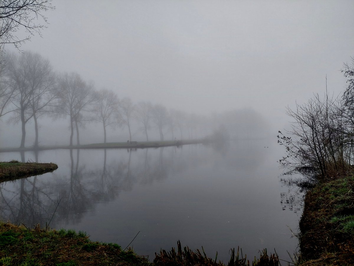 CCommijs's tweet photo. Vanmorgen al vroeg gewandeld.
Park #Hitland @NieuwerkerkNL @Zuidplas 
#mist 🌫️ https://t.co/62Ulz3yBt4