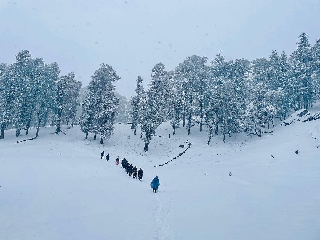 HayatAmiree's tweet photo. Some of my favourite pictures from our recent trek to Kedarkantha with @Indiahikes 

Picture 1: Trekkers descending to the base camp through the pristine forests.

Picture 2, 3, and 4: Ascending to Pukhrola camp. I think we were lucky to experience snow fall throughout the trek. https://t.co/CPYI9KTIu7