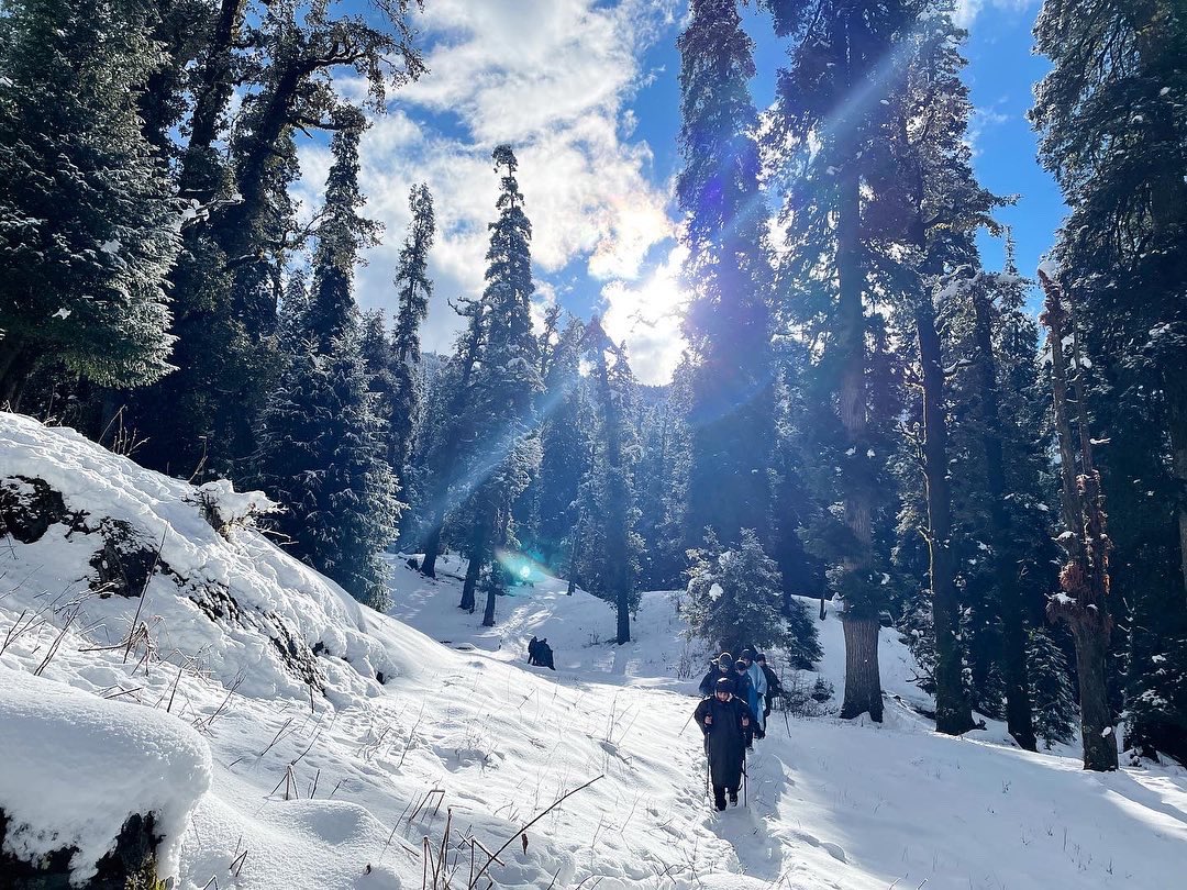 HayatAmiree's tweet photo. Some of my favourite pictures from our recent trek to Kedarkantha with @Indiahikes 

Picture 1: Trekkers descending to the base camp through the pristine forests.

Picture 2, 3, and 4: Ascending to Pukhrola camp. I think we were lucky to experience snow fall throughout the trek. https://t.co/CPYI9KTIu7