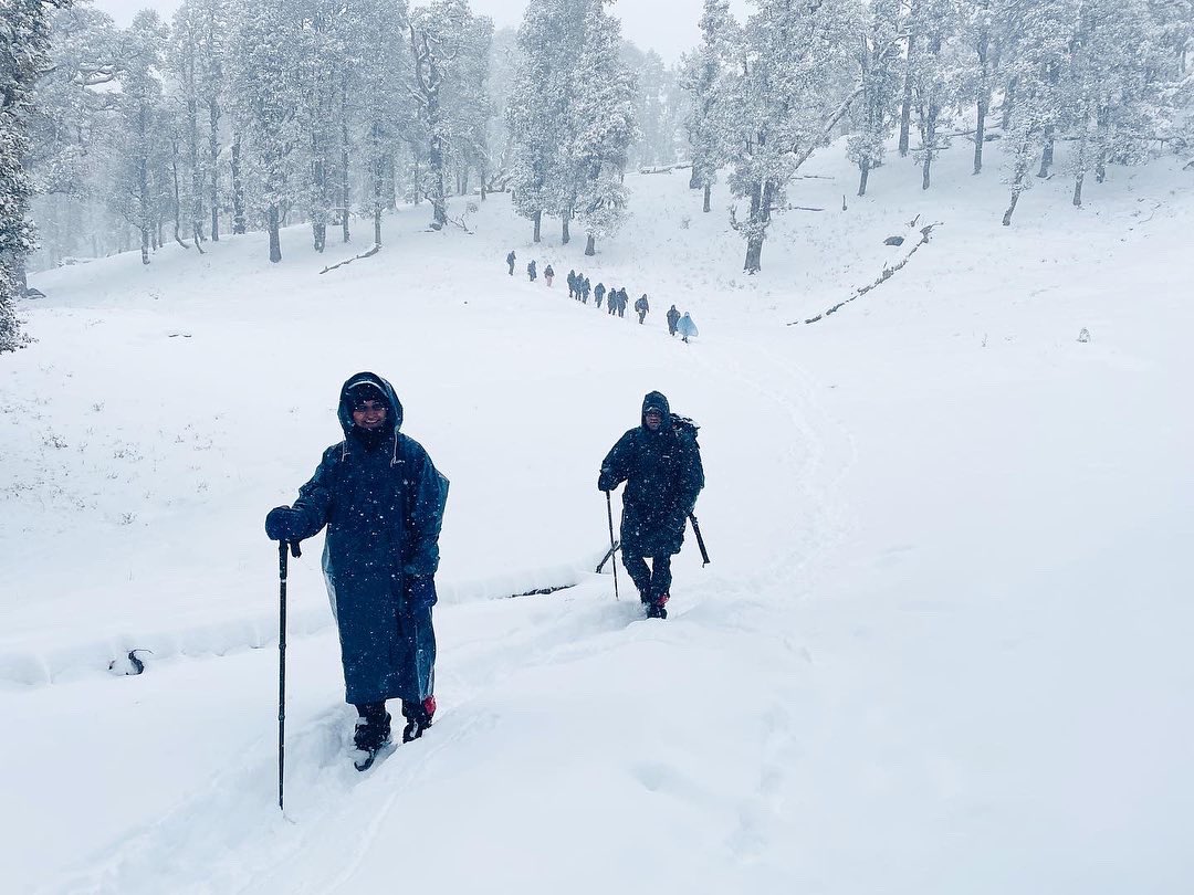 HayatAmiree's tweet photo. Some of my favourite pictures from our recent trek to Kedarkantha with @Indiahikes 

Picture 1: Trekkers descending to the base camp through the pristine forests.

Picture 2, 3, and 4: Ascending to Pukhrola camp. I think we were lucky to experience snow fall throughout the trek. https://t.co/CPYI9KTIu7