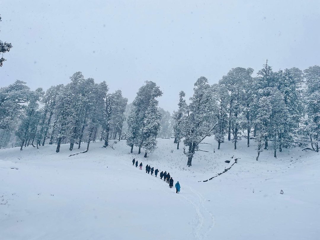 HayatAmiree's tweet photo. Some of my favourite pictures from our recent trek to Kedarkantha with @Indiahikes 

Picture 1: Trekkers descending to the base camp through the pristine forests.

Picture 2, 3, and 4: Ascending to Pukhrola camp. I think we were lucky to experience snow fall throughout the trek. https://t.co/CPYI9KTIu7