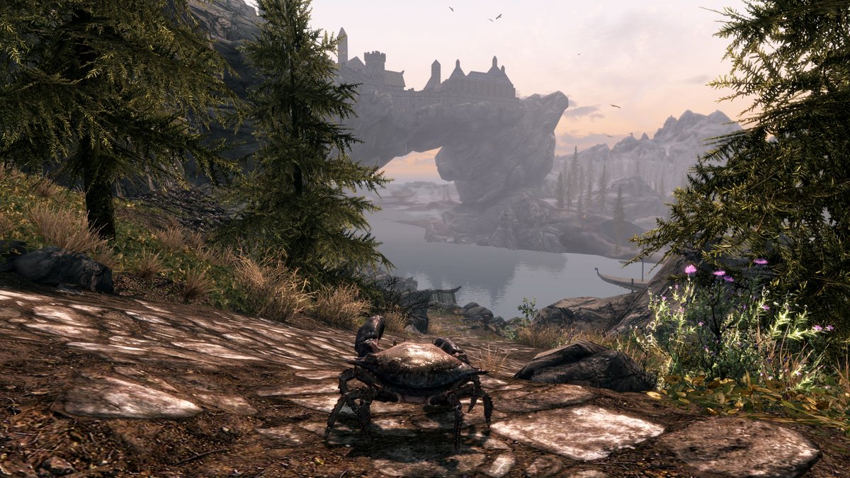 ultrabrilliant's tweet photo. Playing Skyrim as a crab: impossible, but funny. https://t.co/EsgfNSRJna