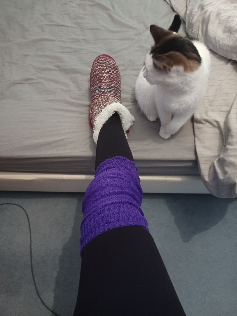eveshambatcare's tweet photo. Off to do a #BatSurvey up a church tower whilst the thermometer reads barely 1°C so double socks, legwarmers and multiple layers it is! Sparkly slippers not ladder safe unfortunately. #BatWorkerProblems #LoveBats #KeepKneesCozy #NotEnoughLayers #BatsInChurches https://t.co/U5G1fbBqyH