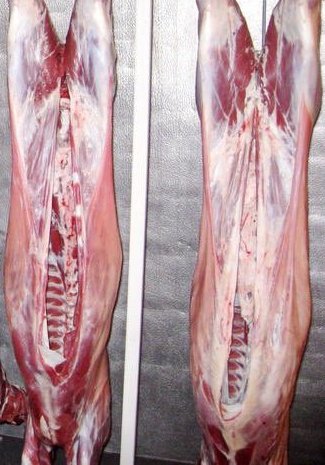 ZIMBABWE am planning to open a butchery for goat meat only in Harare, do you love the meat? Help me do my survey by retweeting <a href="/Lee_Ann_Cara/">Lee Ann Bernard</a> @BrianVahombe1 <a href="/joecharex/">Chimoto 🦅</a> @Davidmuchuchu <a href="/LynneStactia/">LynneM 💕💝💎</a> <a href="/abuhassan221/">Jameel Mustafa Asani (Wadi Mpemba)</a> <a href="/JamesBaeLess007/">BaTatenda🧑🏿</a> <a href="/Mug2155/">Mug</a> <a href="/KMutisi/">𝑲𝒖𝒅𝒛𝒂𝒊 𝑴𝒖𝒕𝒊𝒔𝒊</a> <a href="/ANGEZHA_Vauya/">Angezha - Mamoyo Murozvi</a> <a href="/terrymap1/">The Prince Machiavelli</a>