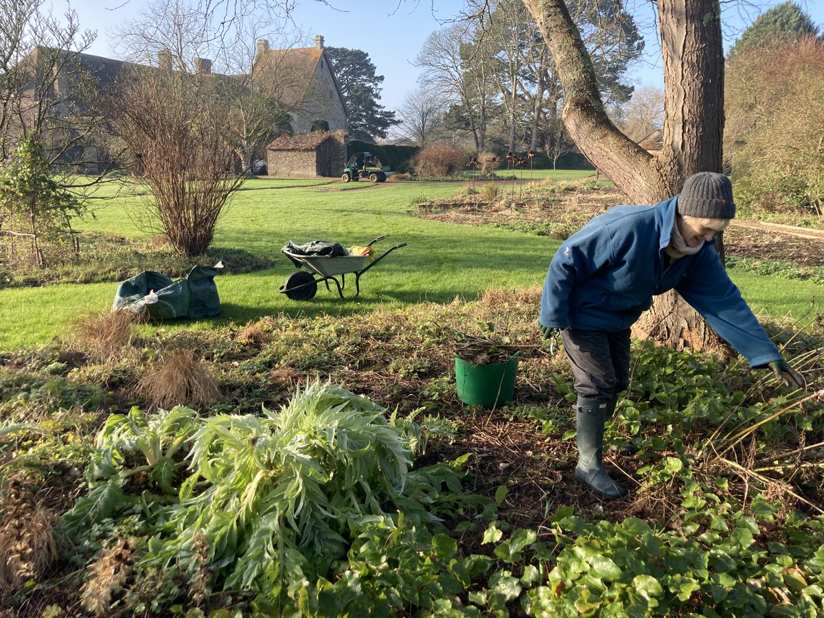 mandlgarden's tweet photo. Getting the herbaceous borders ready for next year ⁦@MichelhamPriory⁩ #winterworks #behindthescenes #museum #garden https://t.co/JiX4GiyVFZ