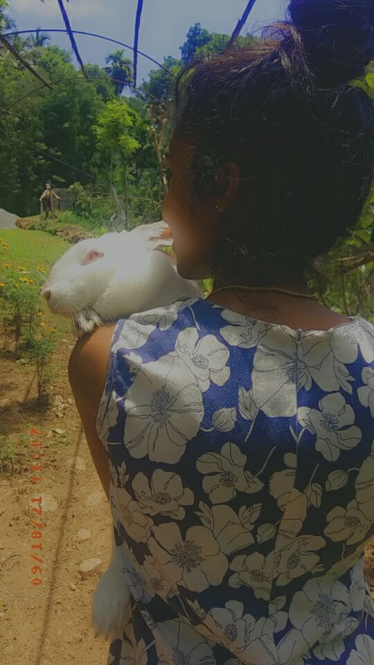 kaveesh1_h's tweet image. අලුත් පාරවල් හොයන අය අඩු උනාට ජිවිතේ සාර්ථක උනේ, ලෝකය වෙනස් කල අලුත් විදිහට හිතපු, ඒ වගේම අලුත් පාරවල් හොයාගෙන ගියපු මිනිස්සු..