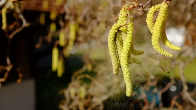 Martin Röösli tweet media