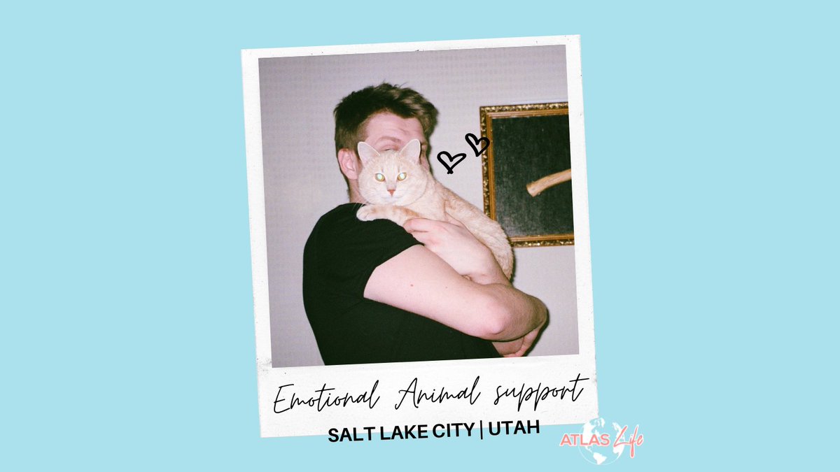 AtlasLife2's tweet photo. Learn more about the Emotional Animal Support Program by visiting our website https://t.co/IQdE6rIRhL 🐱

#animalsupport #animal #caring #animalsupportprogram #emotionalsupport #trainingsession #saltlakecity #utah #saltlakecity #obediencetraining #developskills #love https://t.co/Gl6t8XvVYx