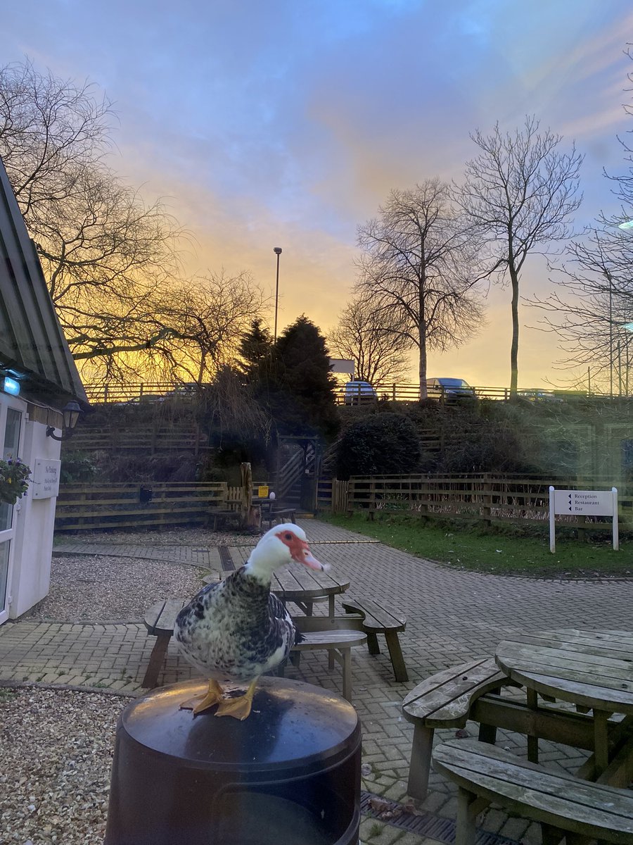 MaddieTraxton's tweet photo. Morning views at #WBCC. It is a pleasure to work at such a beautiful location.🌅☀️ #woodfordbridgecountryclub 
#morningviews https://t.co/6NjqjjHAoi