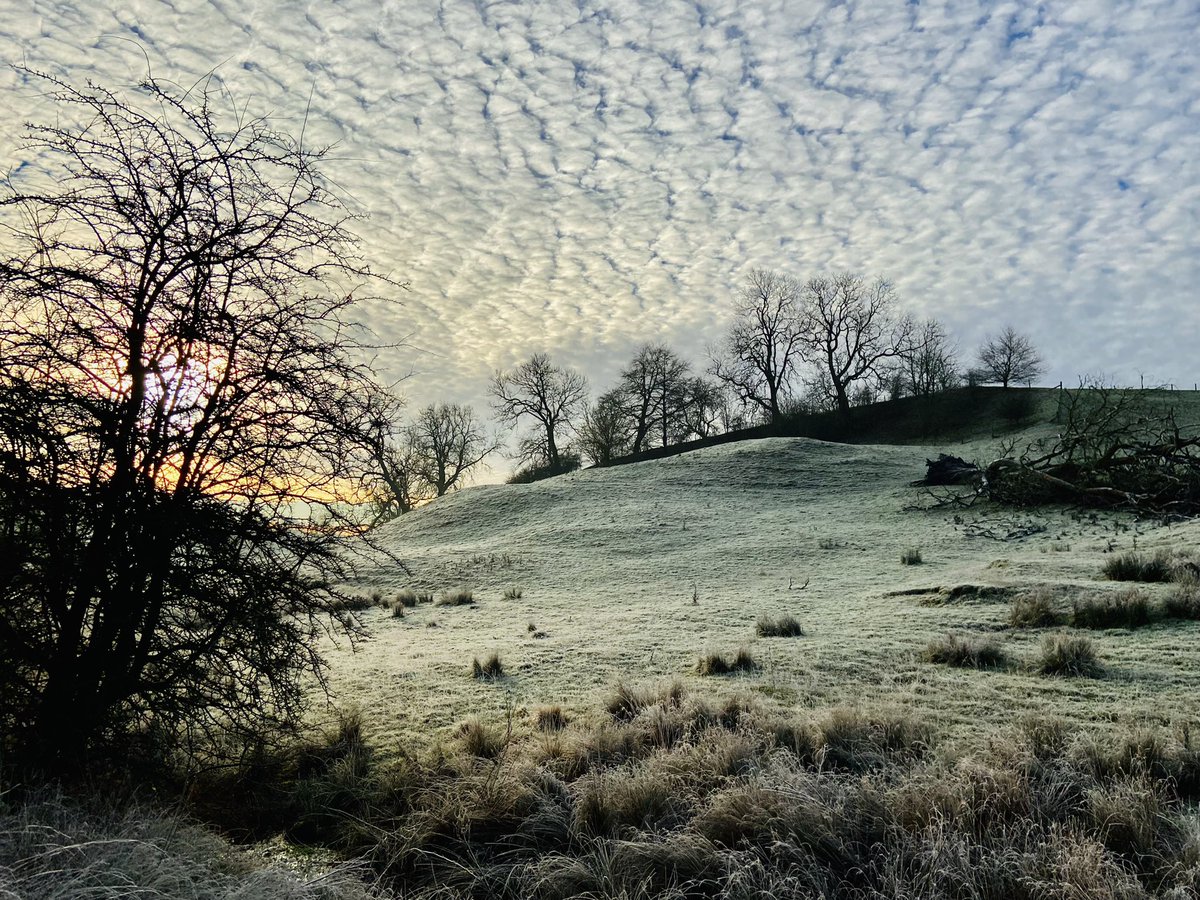 In The Marsh. -1°C and frozen skies. A Woodpecker tapping.