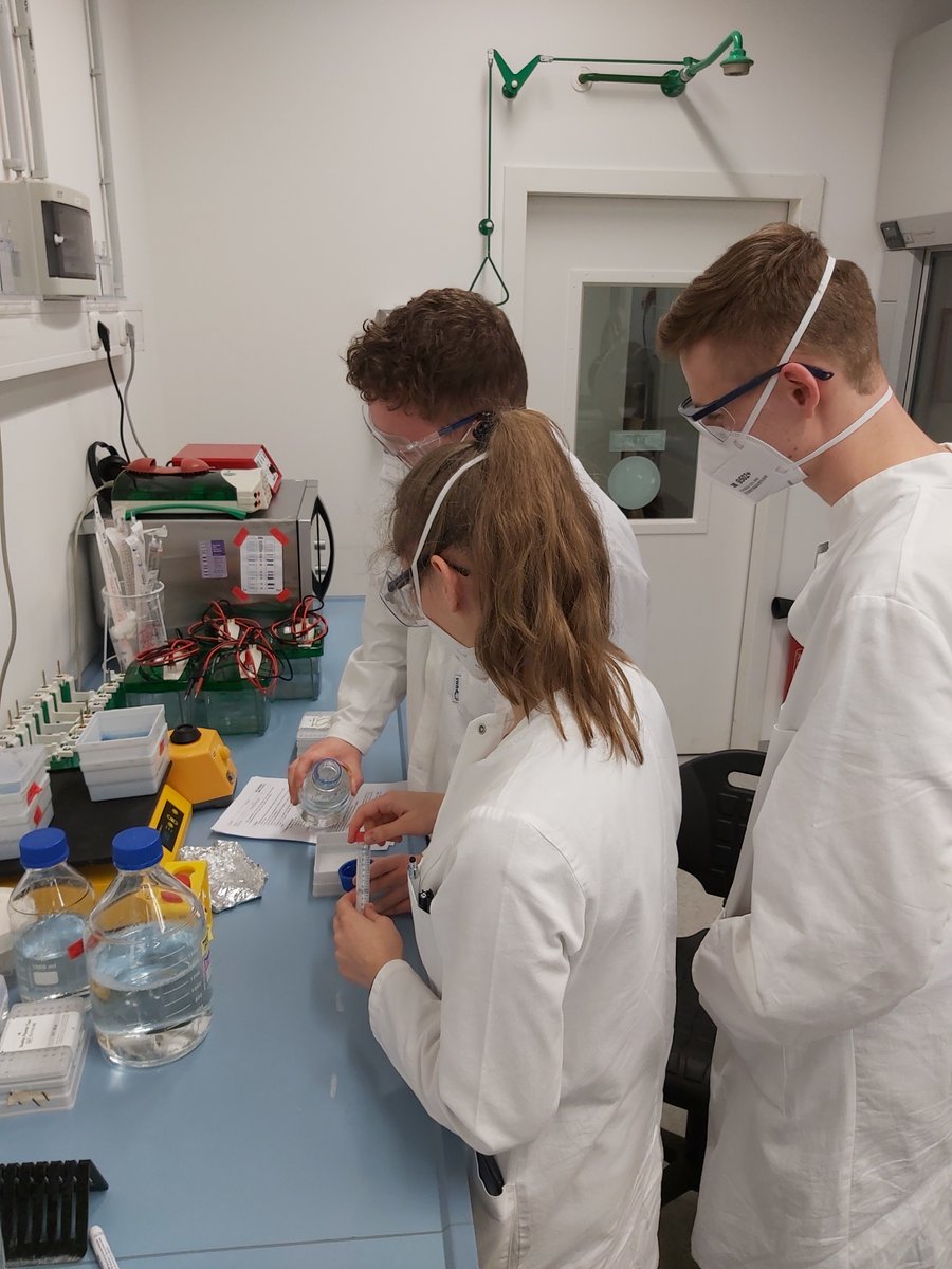 Numaferm I Biomade Innovation tweet media