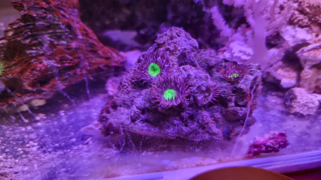 ID please dlvr.it/SHKtQ3