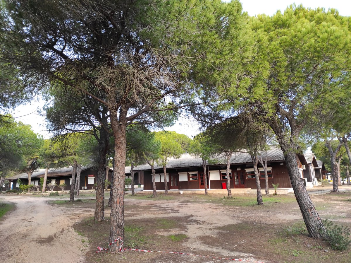 My 2nd home, I am glad to be back ❤️