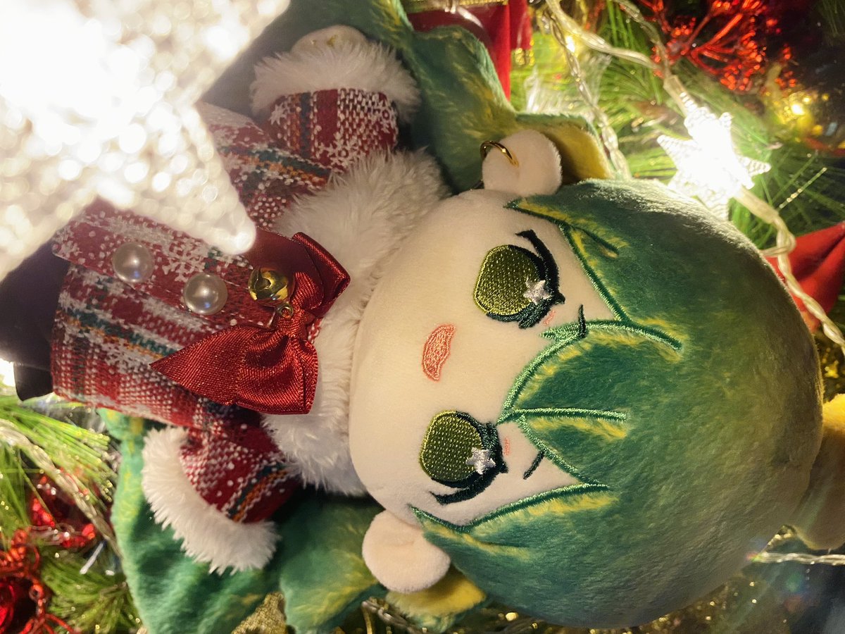 Caca_1130's tweet photo. 🎄Merry Christmas 🎄
#Taiwandoll #20cm인형 #棉花娃 https://t.co/xremU2b18c