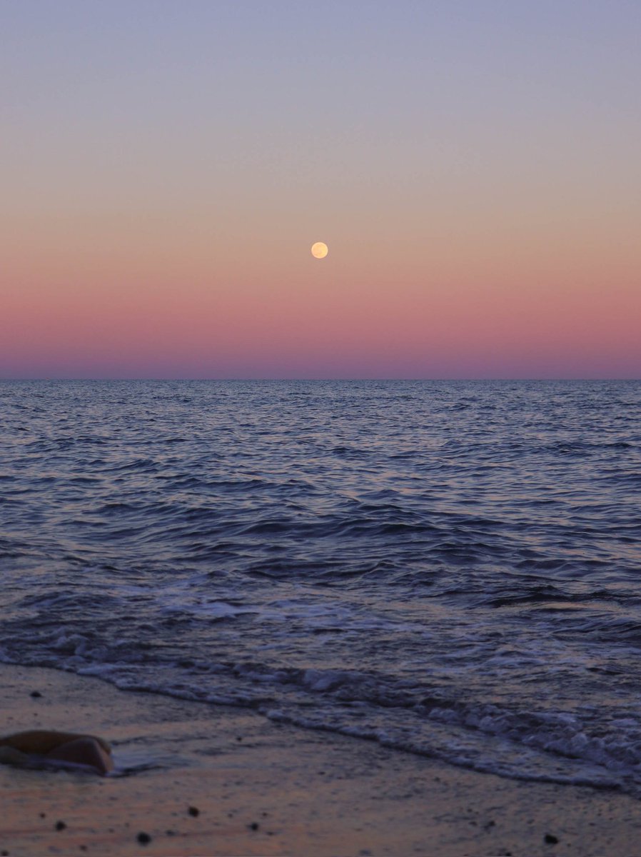 ga9188's tweet photo. Vengo a enseñaros fotos de la Luna llena de ayer, de nada https://t.co/9UlFwv8ezb