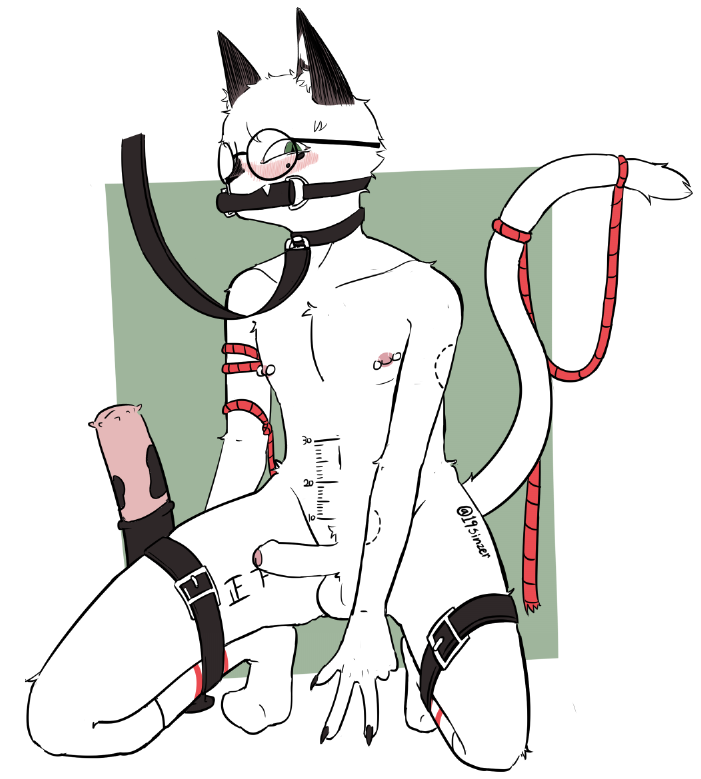 _SC1_C's tweet photo. 🐈🔞🎁 https://t.co/DYkiCSCmxO