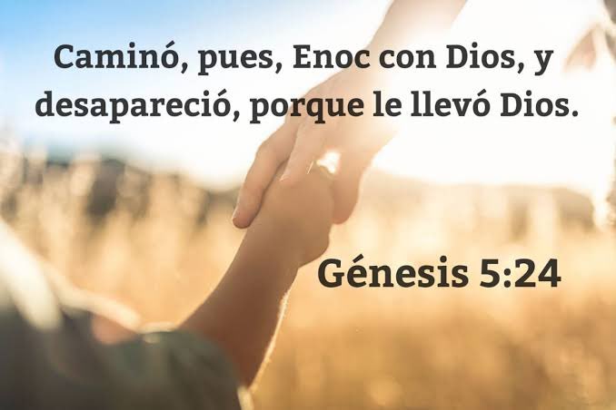 Génesis 5:21-24
La fidelidad de Enoc, evidencia que si es posible caminar en obediencia cuando se vive diariamente en comunión íntima con Dios. Siga el ejemplo de Enoc, camine con Dios cada dia, sea fiel, el Señor lo llevará al cielo pronto ( Jn 14:3)
#rpsp 
#YoVoy
#Conectados