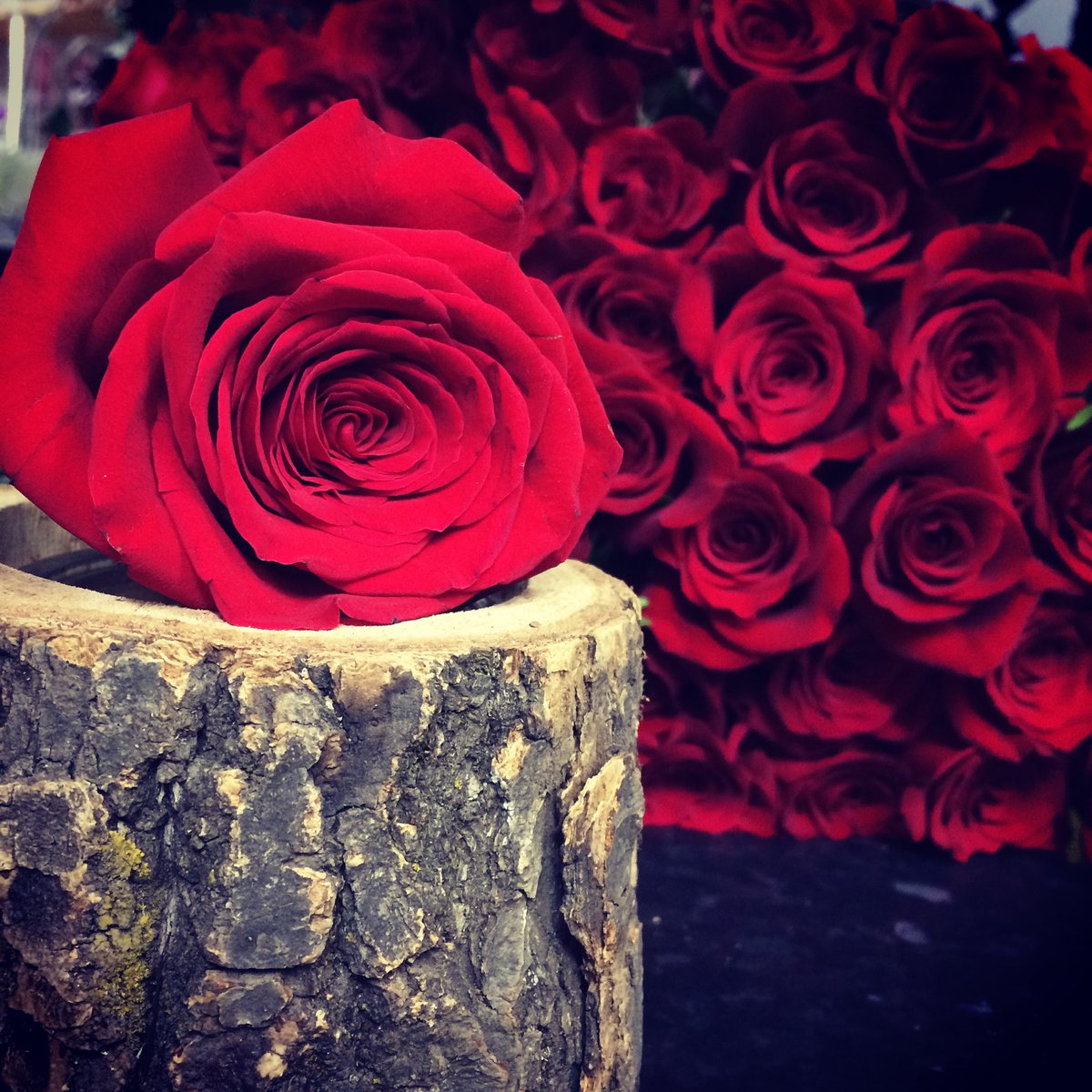 Incense themes & decor tweet media