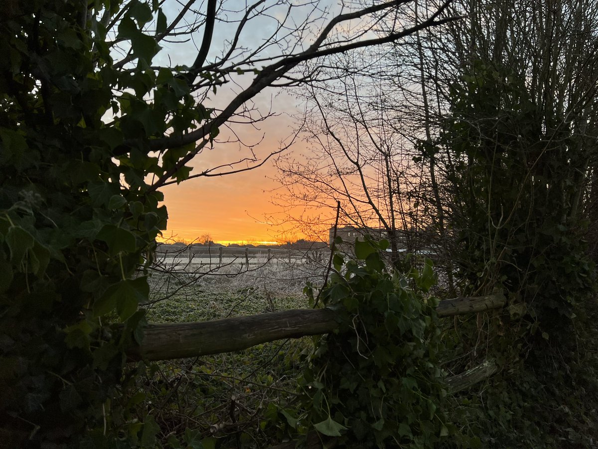 hiurbanwanderer's tweet photo. You can’t beat a beautiful sky as part of your early morning #ReverseCommute! It’s a nice reminder as to why I get up at the crack of dawn to walk 4.7 miles every weekday morning! #Sunrise #EarlyStart #WalkForWellbeing #NoFilter https://t.co/VnNjKiM9iU