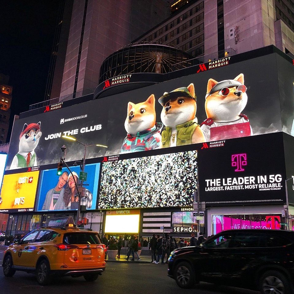 Shiba Social Club tweet media