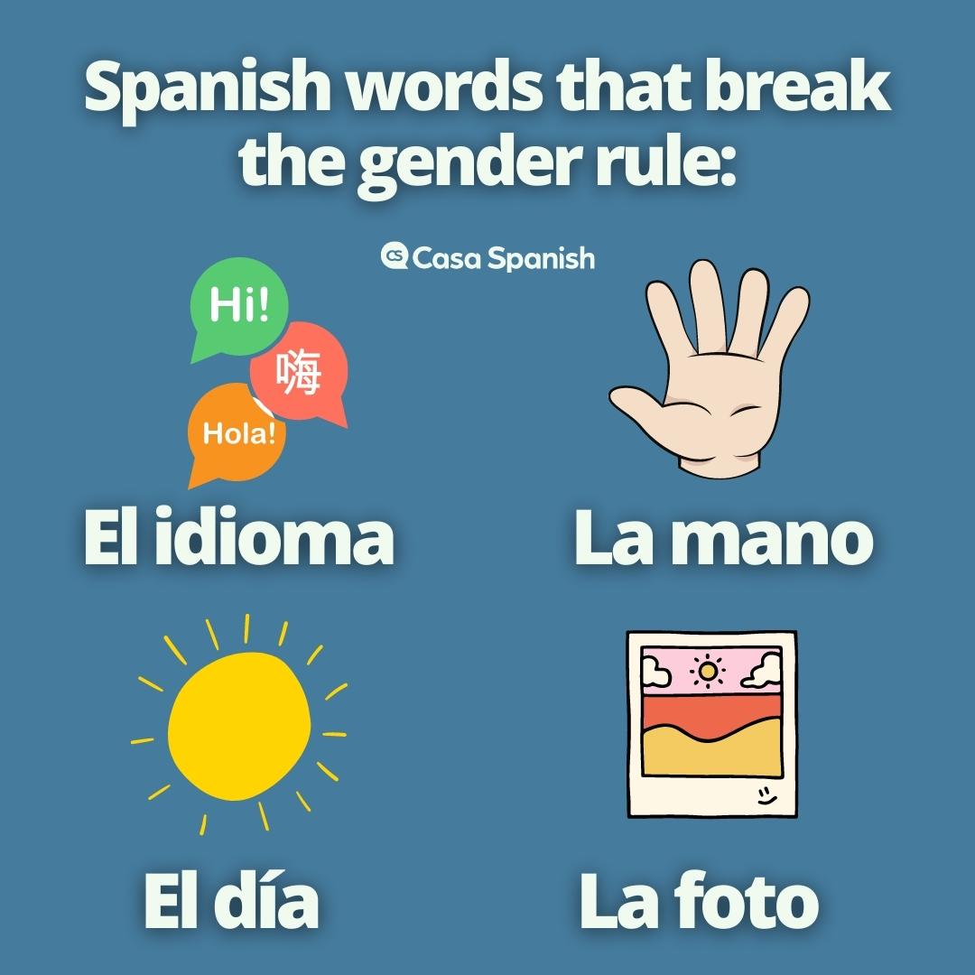 CasaSpanish1's tweet photo. In #spanish feminine words end in -A and masculine words end in -O. This is the rule of thumb, however there are some exceptions:

La mano / hand
El idioma / language
La foto / photo
El día / day

Lear more here:
https://t.co/VSw7bRsPCi

#tuesday #spanishlesson https://t.co/pZ9rzzetaL