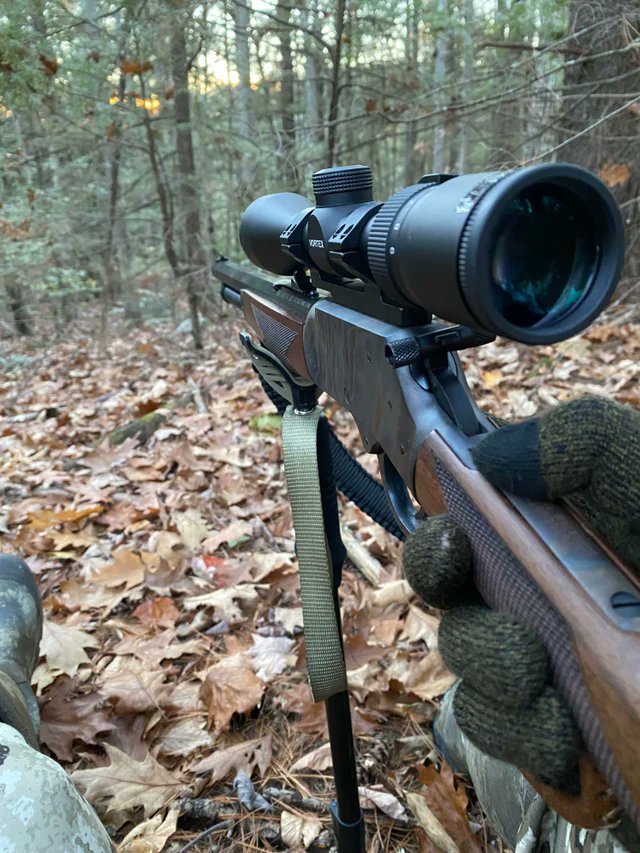 Lisa Thorne (@lisahunting) on Twitter photo 