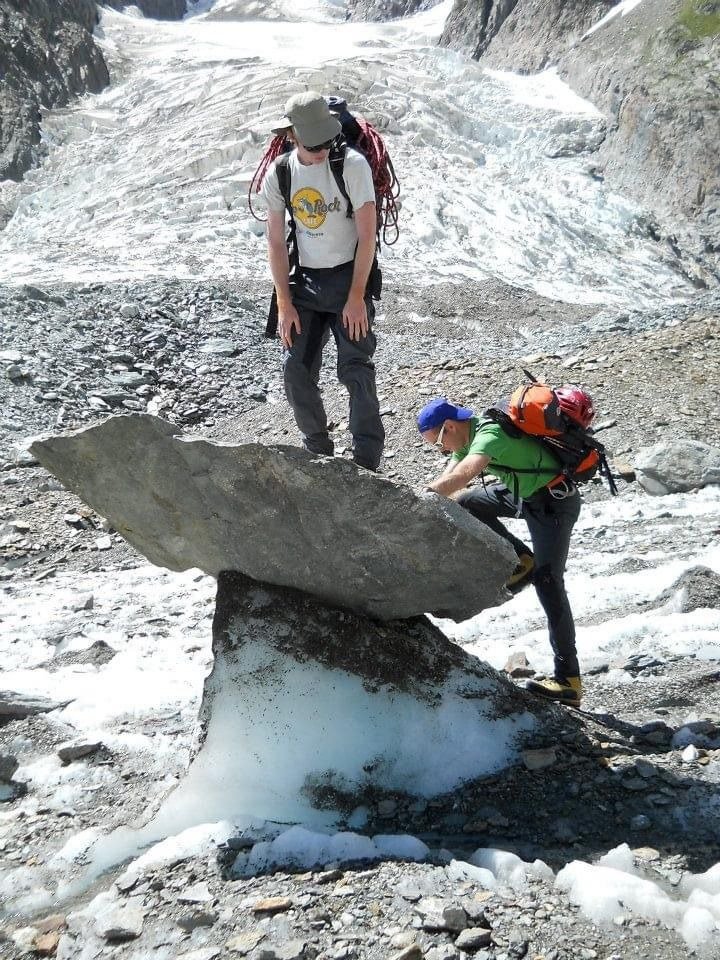 Rhizo-Eco Lab tweet media