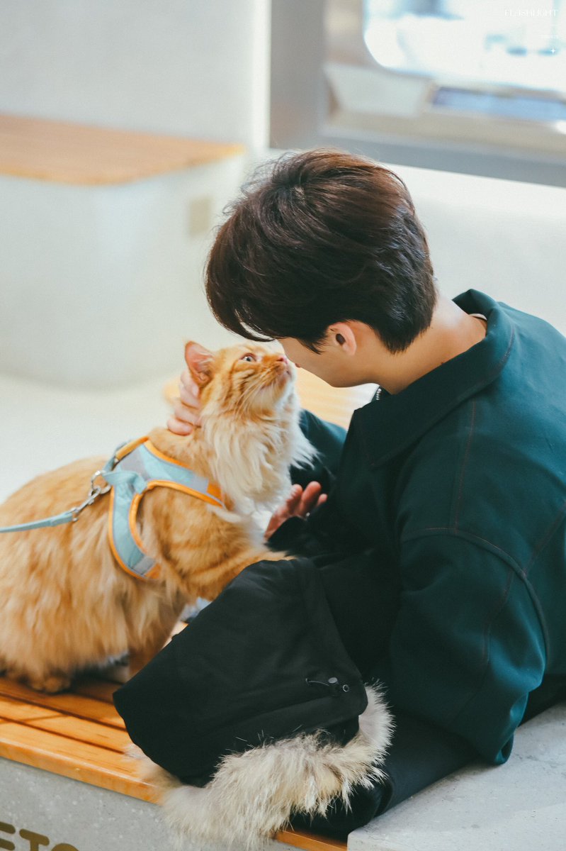 _Flashlight___'s tweet image. #YuGengyin #俞更寅 

2022/1/11

HD 4P
 
@yugengyin_0428