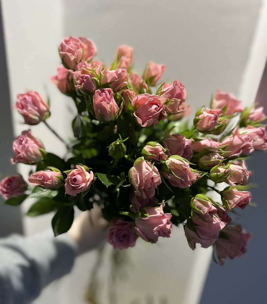 AFloral's tweet image. Spray roses 💘 

#florist #roses #southshields #northeast #tyneandwear