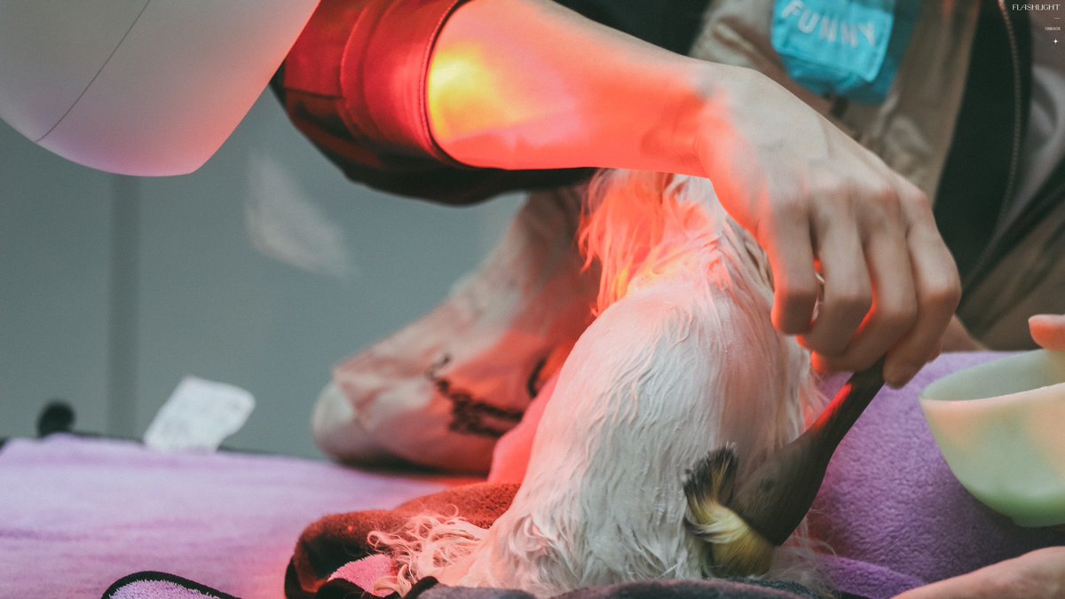 _Flashlight___'s tweet image. #YuGengyin #俞更寅 

2022/1/11

HD 4P
 
@yugengyin_0428