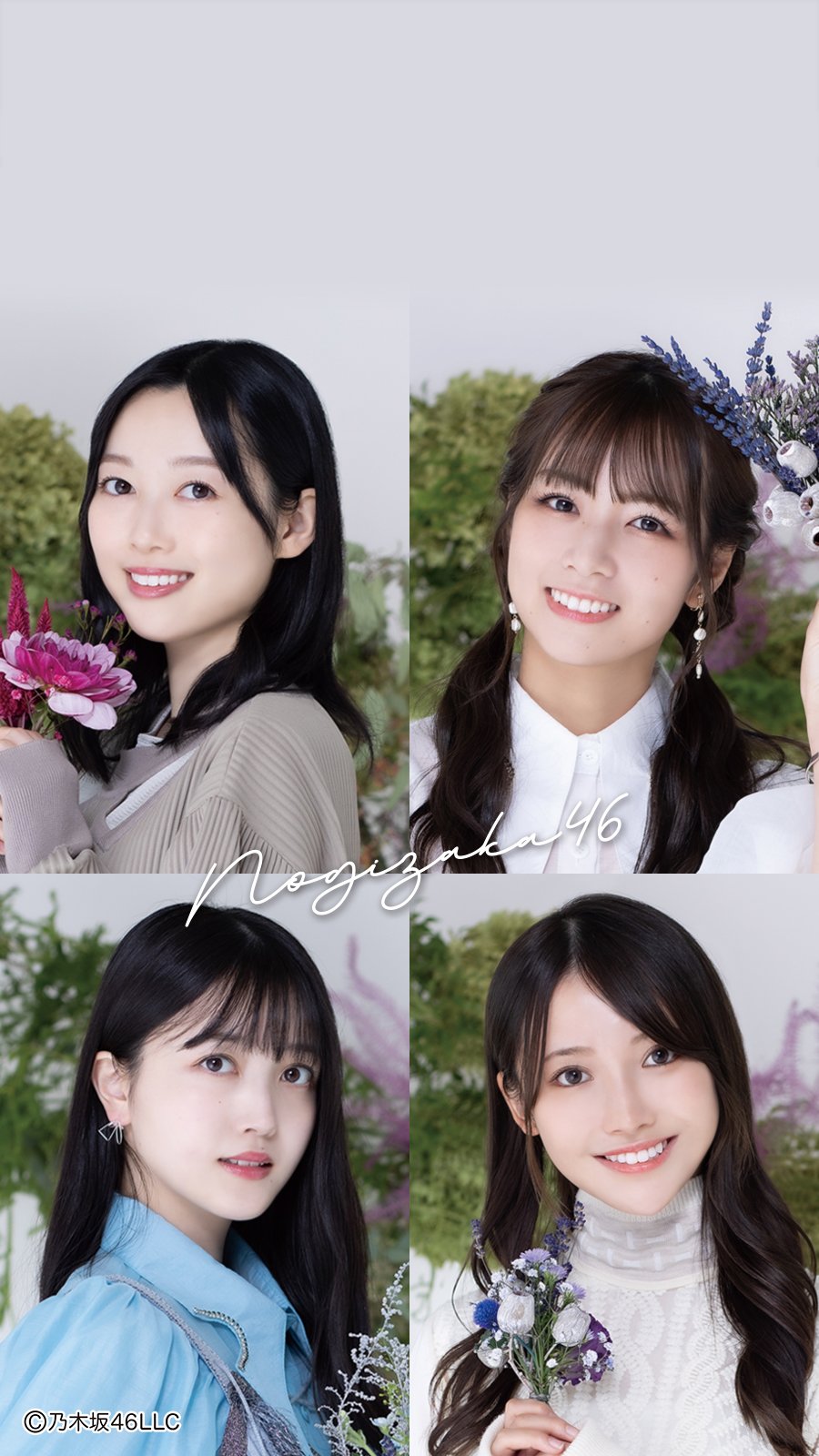 乃木坂46officialwebshop Twitter Search Twitter