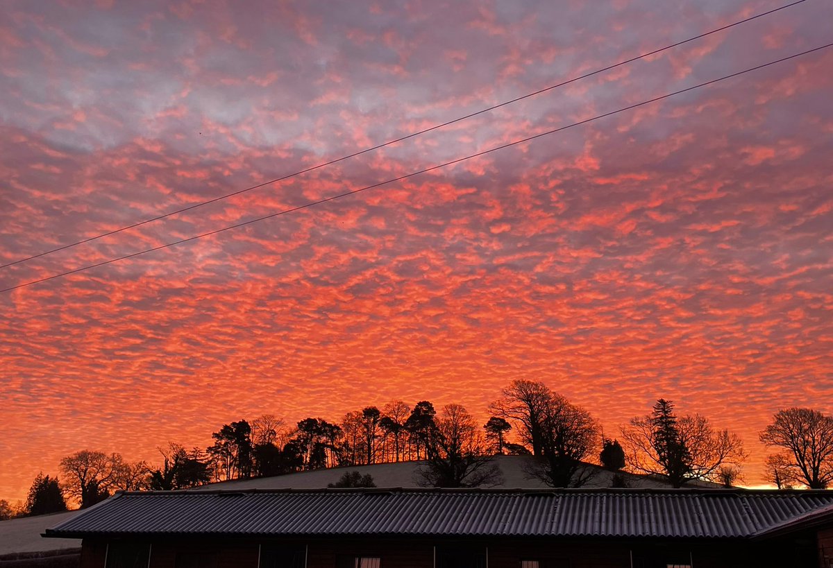 NHSAdrianO's tweet photo. What a beautiful frosty morning in Powys, with vivid coral skies. 

#MidWalesMyWay https://t.co/FX2DPXADox