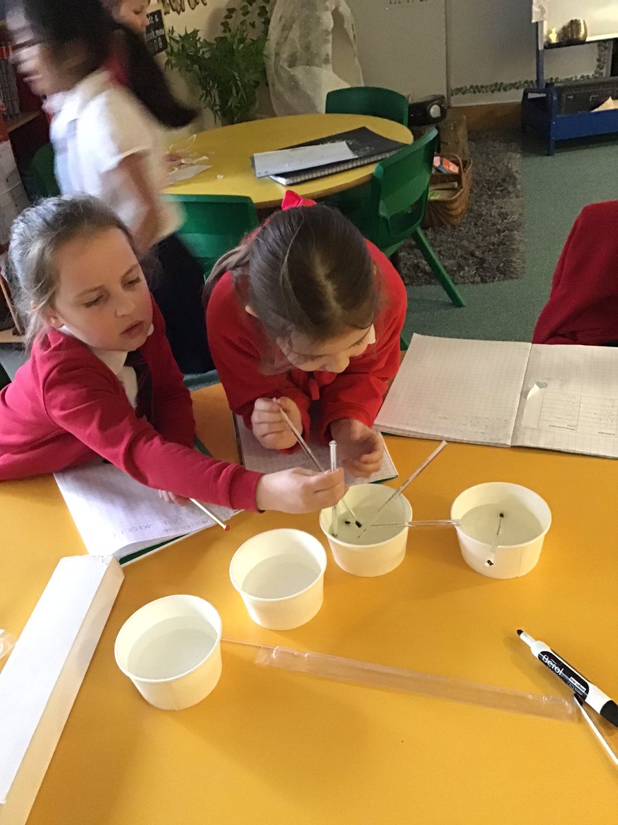 GUPS year 2 tweet media