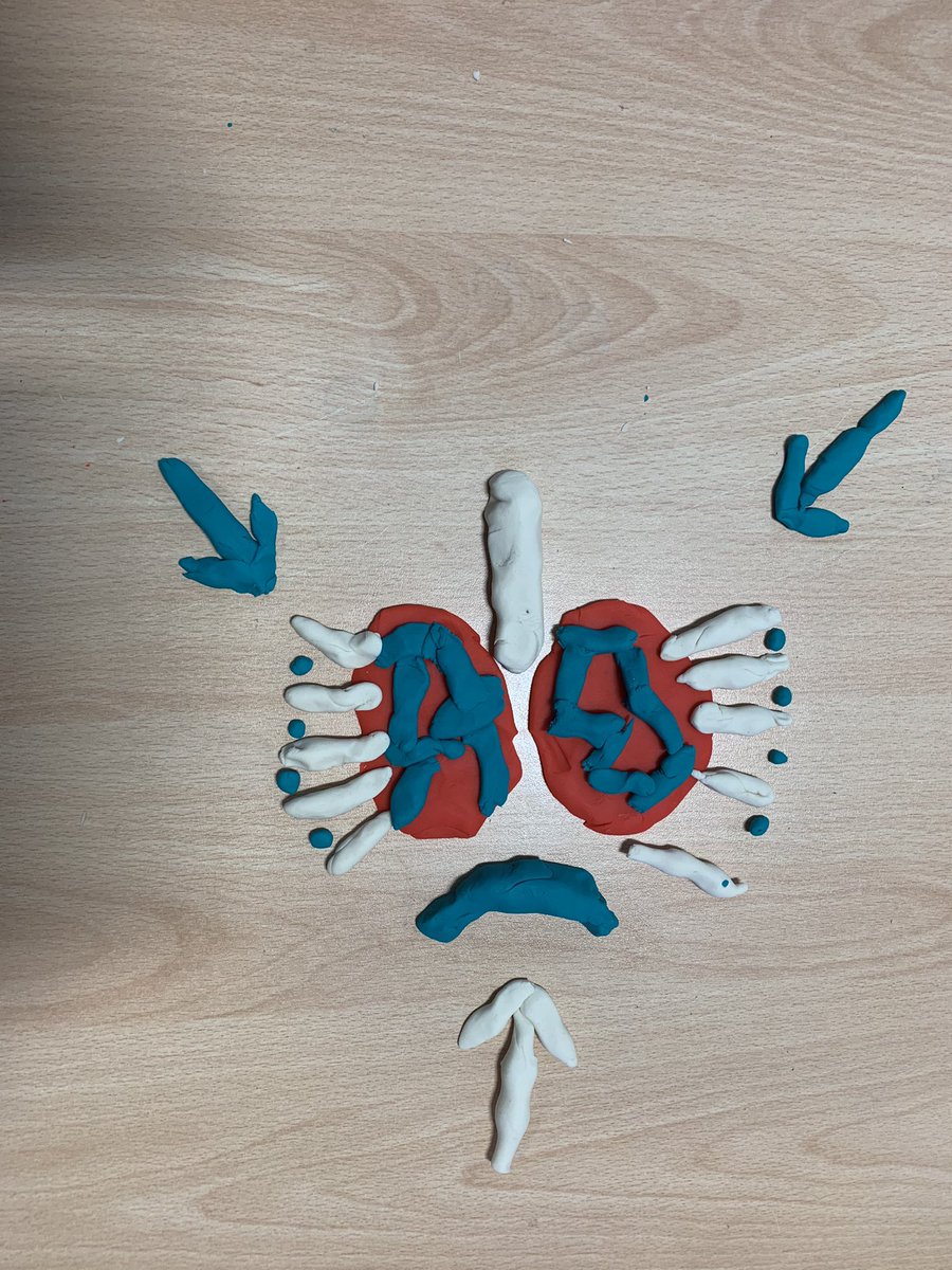 MissLHuntPE's tweet photo. Fantastic work from 10E GCSE this morning. Using models to explain and visualise the process of inspiration and expiration.  @thspe https://t.co/KKsrQXDLtw