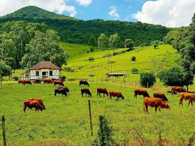 Gabriel_EduCarv's tweet photo. Como Ipatinga é | Como a Natália descreveu https://t.co/LdbHyjc6vK