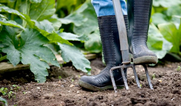 Wilt u meewerken aan concrete innovatieprojecten voor een duurzame landbouw in Noordoost-Fryslân? Meld u dan nu aan! Lees meer over de onderwerpen op onze website: bit.ly/3nBGlbb