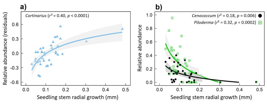 🍄+🌲+ peatlands! We found that the relative abundance of ectomycorrhizal #fungi with 'expensive' traits was linked to seedling annual ring width along drained #peatland gradients. doi.org/10.1007/s00572…