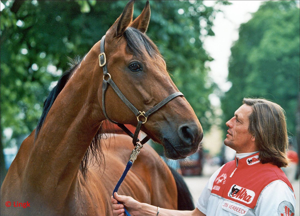 BerlinRennbahn's tweet photo. Jos Verbeeck gibt am Sonntag ein Gastspiel in Mariendorf!
Dimanche, Jos Verbeeck à Berlin Mariendorf! #verbeeck @LTrotteur @LeTrot @equidia @Cedricy13 #mariendorf #traber https://t.co/vCVuTs36vQ